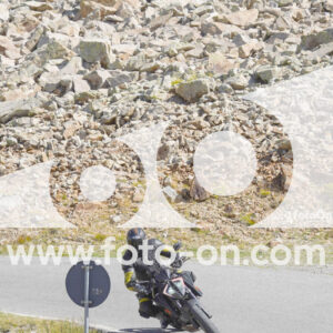 thumb_Lombarda-120
