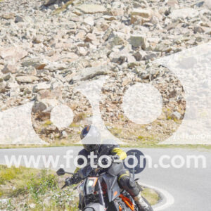 thumb_Lombarda-121