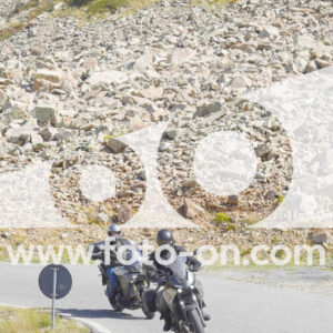 thumb_Lombarda-127