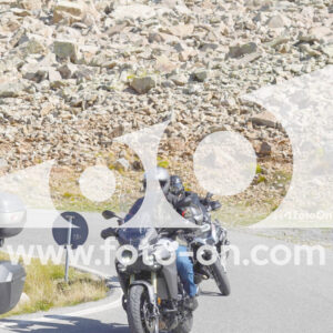 thumb_Lombarda-128