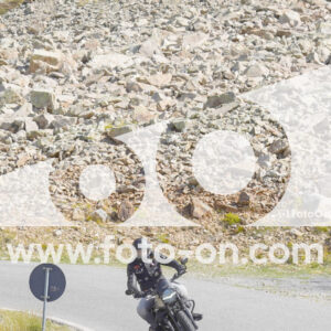 thumb_Lombarda-134