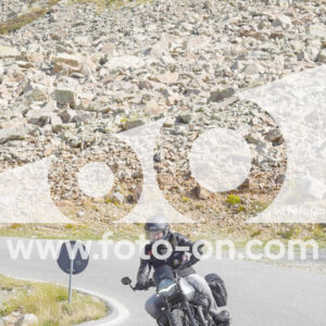 thumb_Lombarda-135