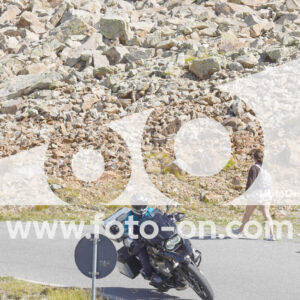 thumb_Lombarda-138