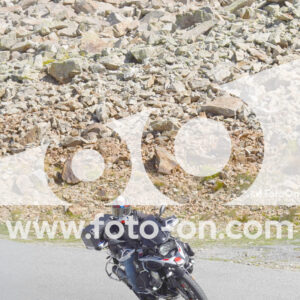 thumb_Lombarda-169