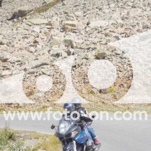 thumb_Lombarda-180