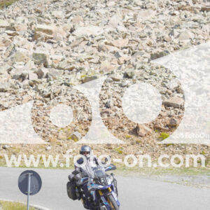 thumb_Lombarda-181