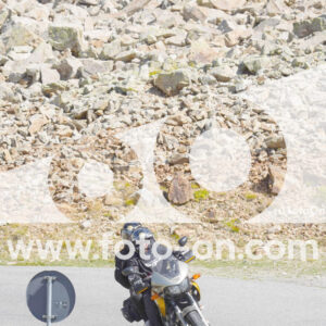 thumb_Lombarda-185