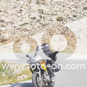 thumb_Lombarda-186