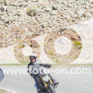 thumb_Lombarda-190