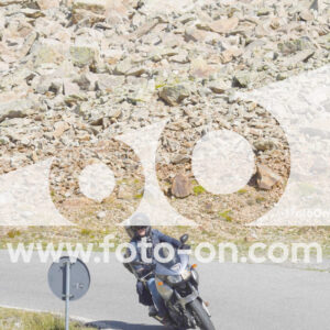 thumb_Lombarda-199