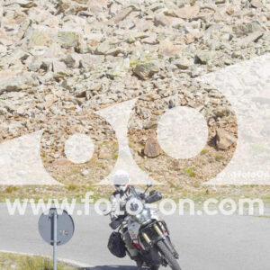 thumb_Lombarda-201