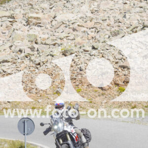 thumb_Lombarda-202