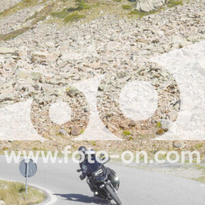 thumb_Lombarda-204
