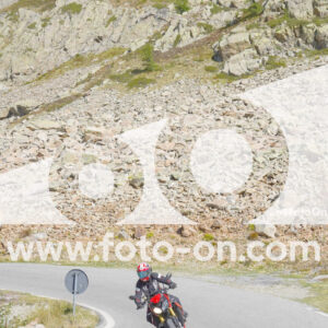thumb_Lombarda-207