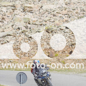 thumb_Lombarda-208