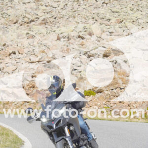 thumb_Lombarda-212