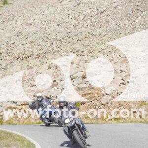 thumb_Lombarda-220