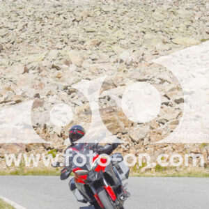 thumb_Lombarda-226
