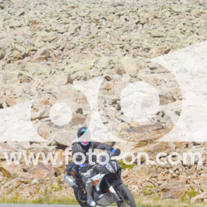 thumb_Lombarda-231