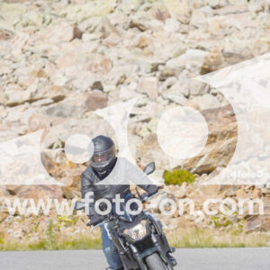 thumb_Lombarda-235