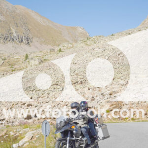 thumb_Lombarda-240