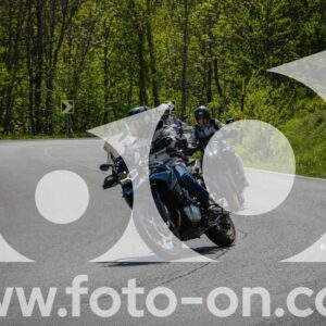 thumb_ANA2930