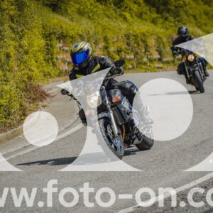 thumb_FF102867