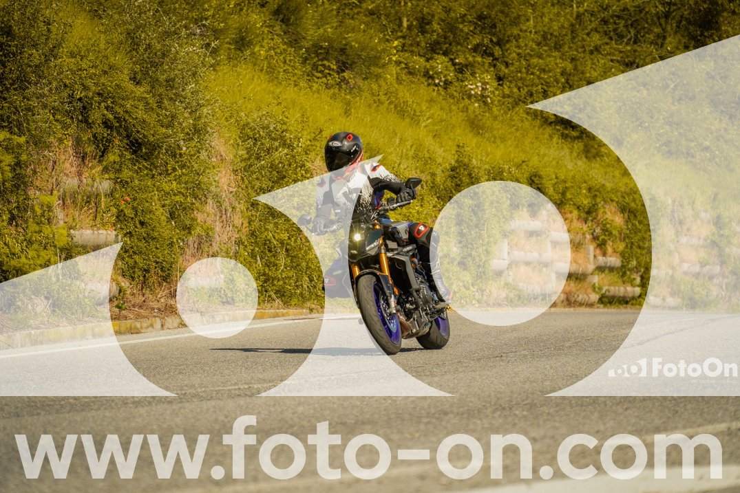 thumb_FF106135-1