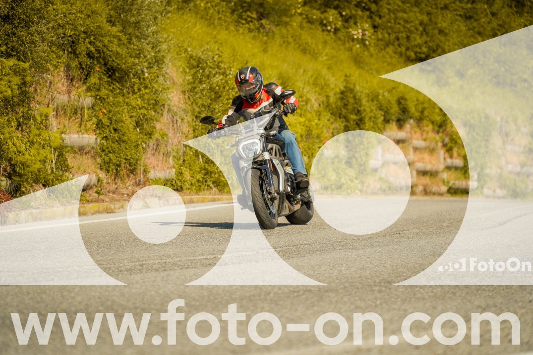 thumb_FF106147-1
