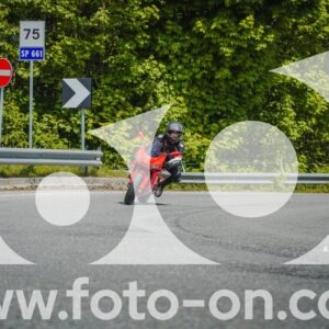 thumb_FF109939