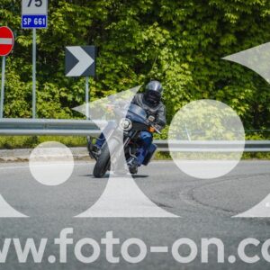 thumb_FF109982