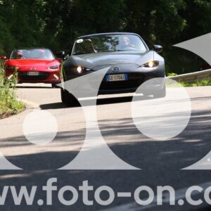 thumb_6J2A2381