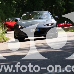 thumb_6J2A2384