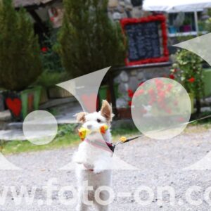 thumb_6J2A3478