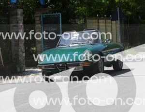 thumb_6J2A6012