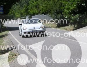 thumb_6J2A6189