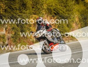 thumb_FF103577