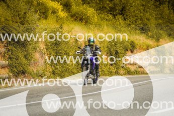 thumb_FF103694
