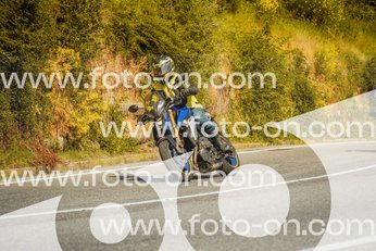 thumb_FF103701