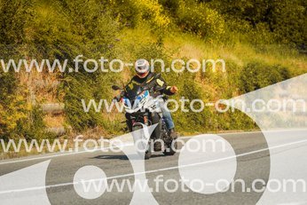thumb_FF103705