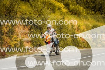 thumb_FF103706