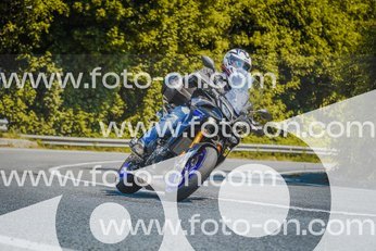 thumb_FF104890