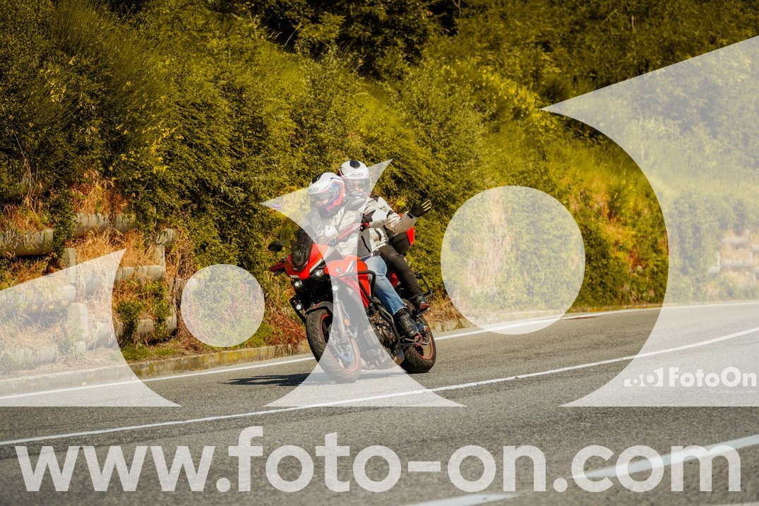 thumb_FF109806