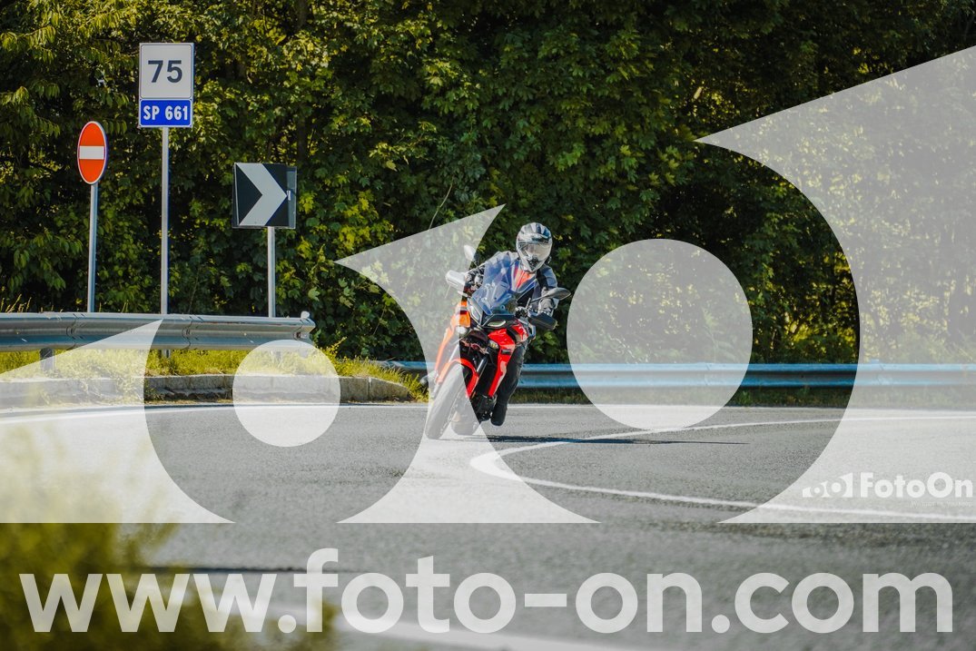 thumb_FF109860