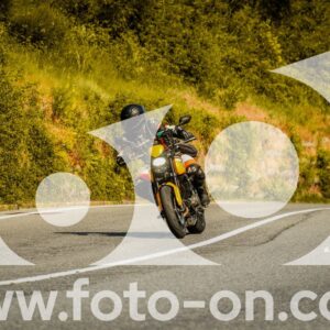 thumb_FF109959