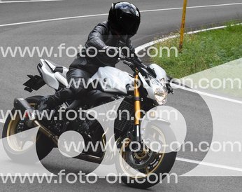 thumb_DSC_0257-1